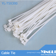 Attache de câble en nylon approuvée par Rohs (YL-T5X300)
